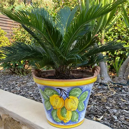 唐娜特蕾莎住宿加早餐旅馆